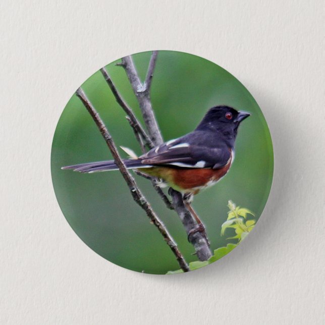 Badge Rond 5 Cm Bouton oriental de Towhee (Devant)