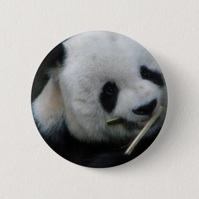 Badge Rond 5 Cm Bouton Panda Mignon – Épinglette Panda Kawaii (Devant)