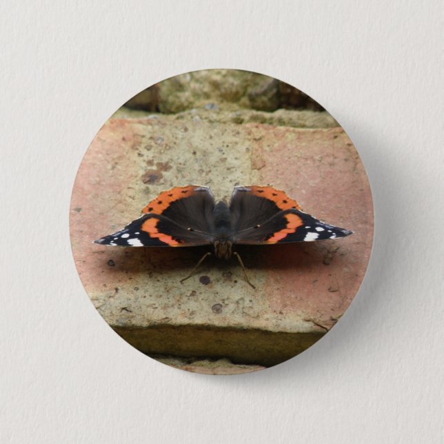 Badge Rond 5 Cm Bouton papillon de l'amiral rouge (Devant)