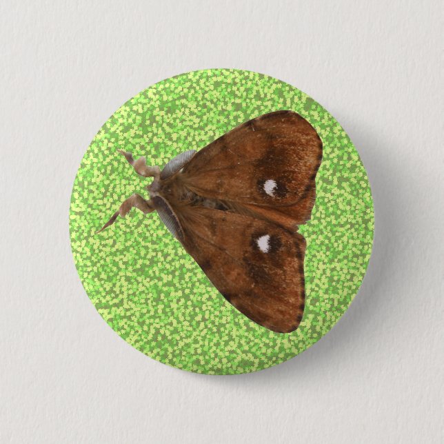 Badge Rond 5 Cm Bouton papillon de papillon (Devant)