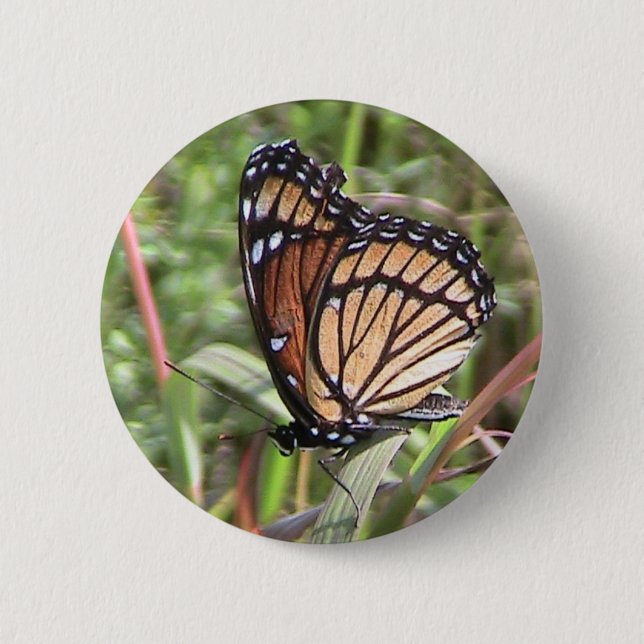 Badge Rond 5 Cm Bouton papillon Monarque (Devant)