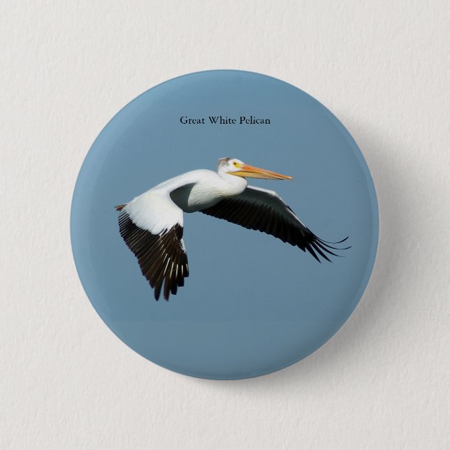 Badge Rond 5 Cm Bouton Pélican blanc (Devant)
