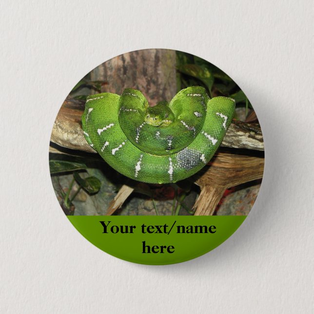 Badge Rond 5 Cm Bouton personnalisé de serpent vert (Devant)