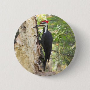 Badge Rond 5 Cm Bouton Pic pilé