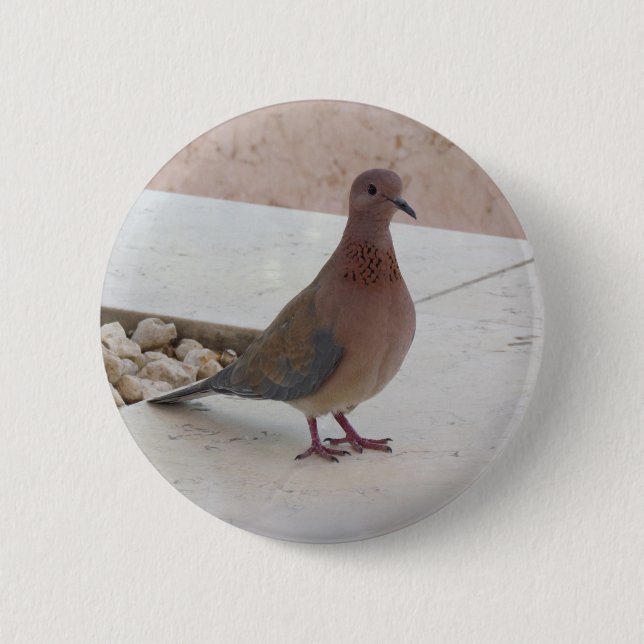 Badge Rond 5 Cm Bouton Pigeon (Devant)
