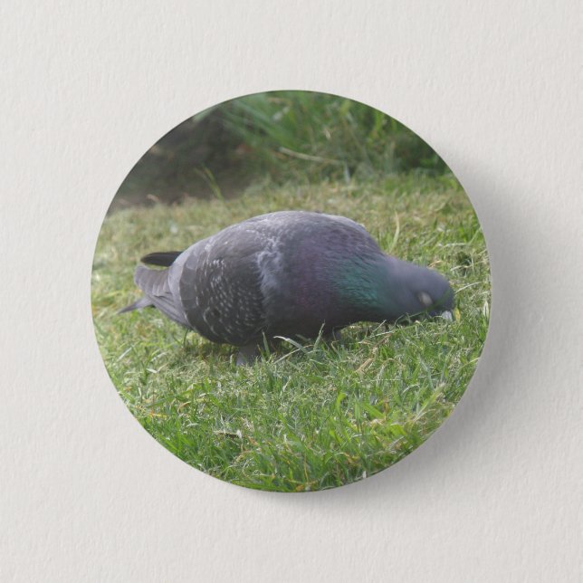 Badge Rond 5 Cm Bouton Pigeon dormant (Devant)