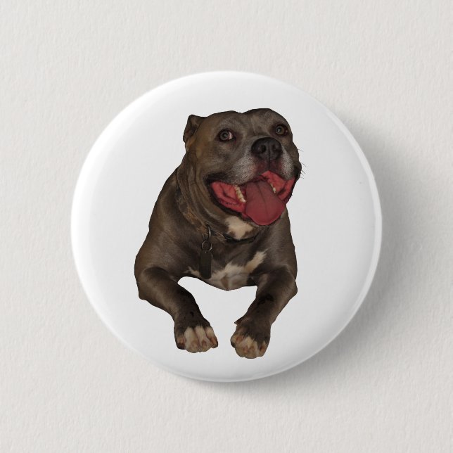 Badge Rond 5 Cm Bouton Pitbull du noeud bleu (Devant)