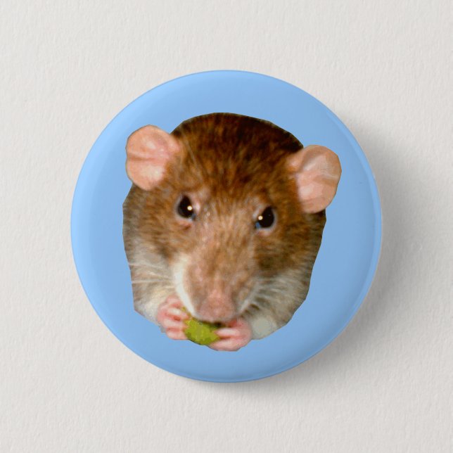Badge Rond 5 Cm Bouton Rat affamé (Devant)