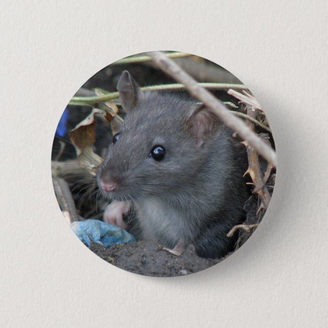 Badge Rond 5 Cm Bouton Rat dans un trou (Devant)