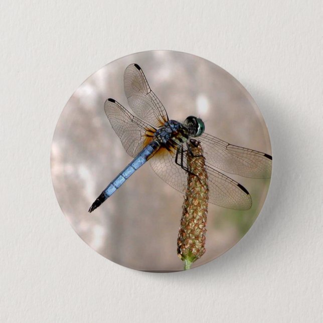 Badge Rond 5 Cm Bouton rond (Devant)