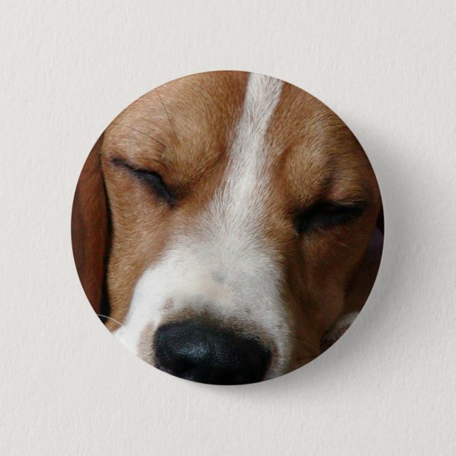 Badge Rond 5 Cm Bouton rond de beagle de sommeil (Devant)