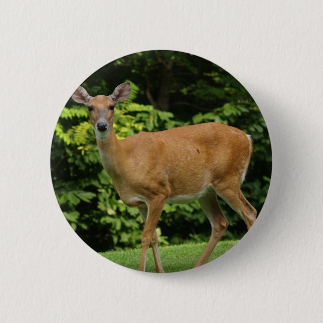 Badge Rond 5 Cm Bouton rond de cerfs communs (Devant)