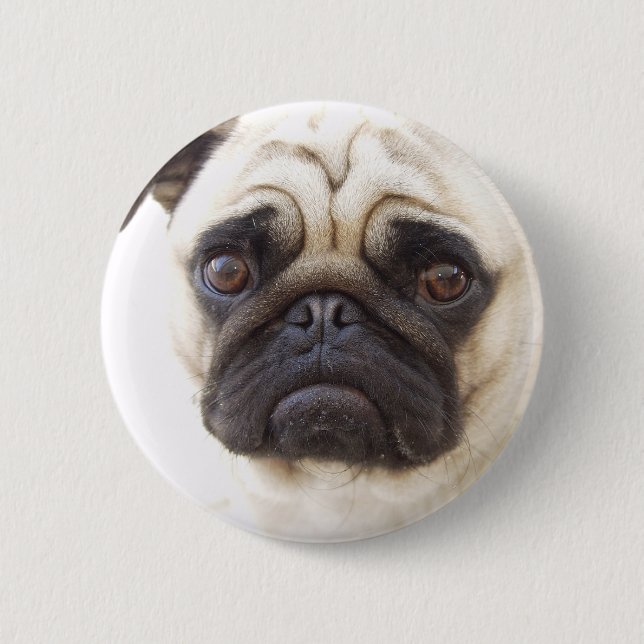 Badge Rond 5 Cm Bouton rond de chien de carlin (Devant)