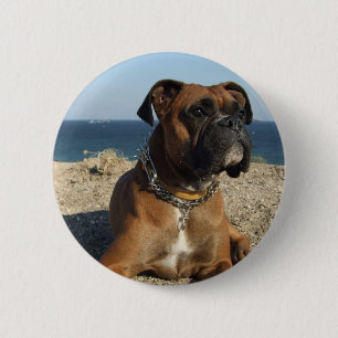 Badge Rond 5 Cm Bouton rond de chien mignon de boxeur