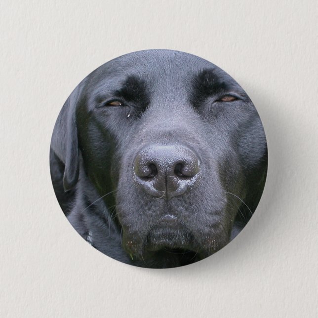 Badge Rond 5 Cm Bouton rond de chien noir de labrador retriever (Devant)