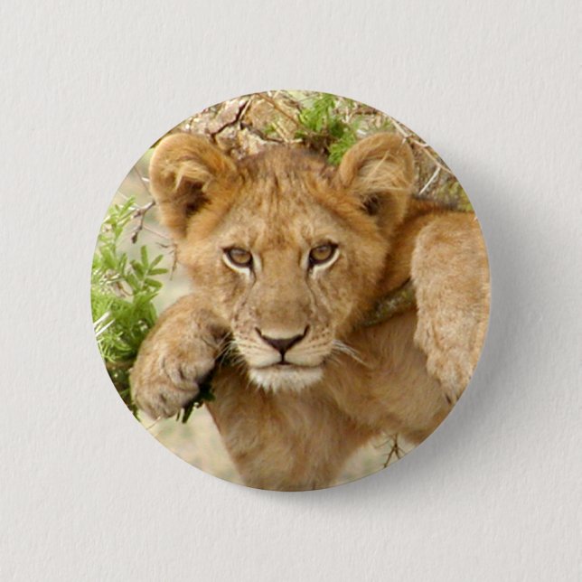 Badge Rond 5 Cm Bouton ROND de CUB de lion (Devant)