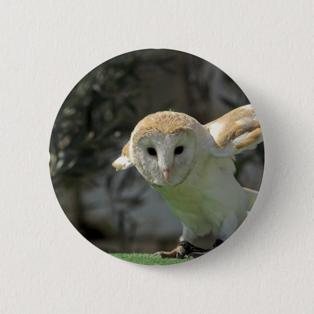 Badge Rond 5 Cm Bouton rond de hibou de grange (Devant)
