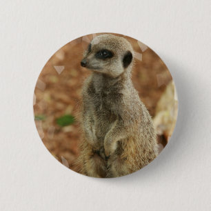 Badge Rond 5 Cm Bouton rond de Meerkat de bébé