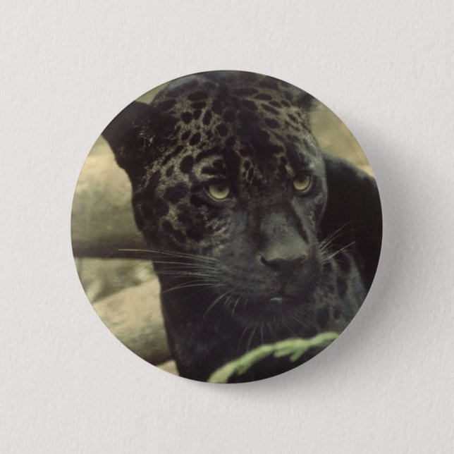 Badge Rond 5 Cm Bouton rond de panthère noire (Devant)