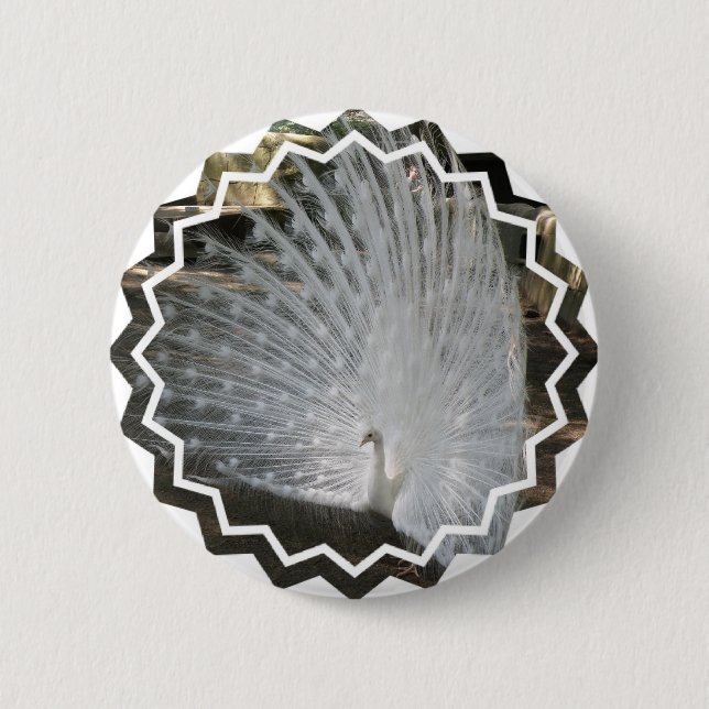 Badge Rond 5 Cm Bouton rond de paon blanc (Devant)