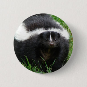 Badge Rond 5 Cm Bouton rond de photo de mouffette