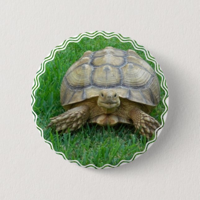 Badge Rond 5 Cm Bouton rond de tortue (Devant)