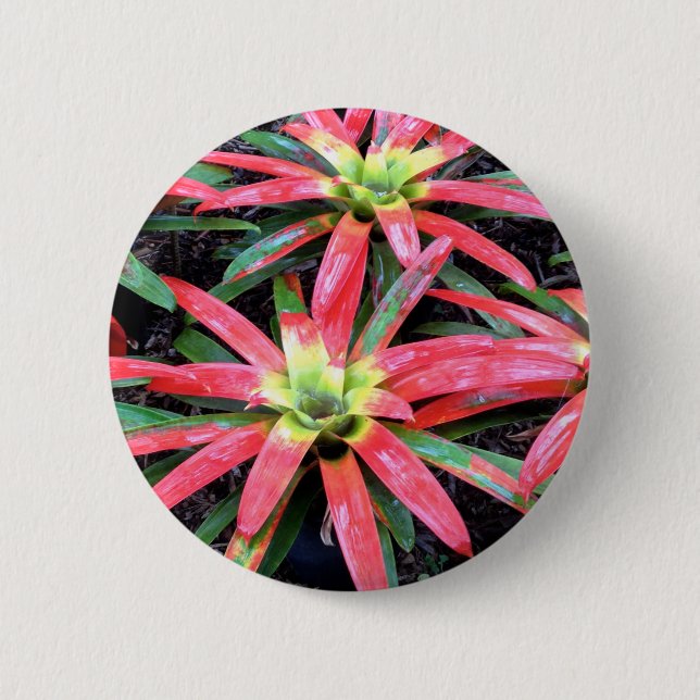 Badge Rond 5 Cm Bouton rond fleur hawaïen (Devant)