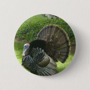 Badge Rond 5 Cm Bouton rond sauvage de la Turquie