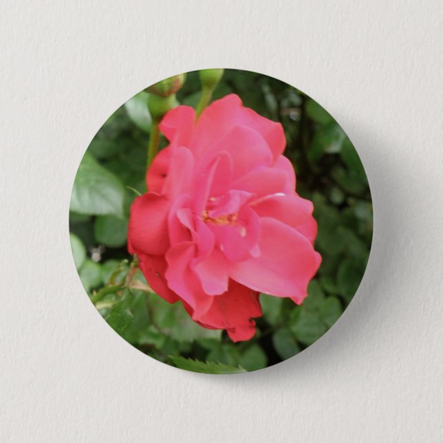 Badge Rond 5 Cm Bouton Rose sauvage (Devant)