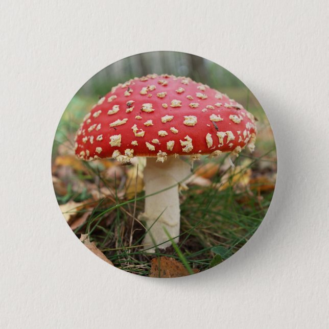 Badge Rond 5 Cm Bouton rouge Agaric (Devant)