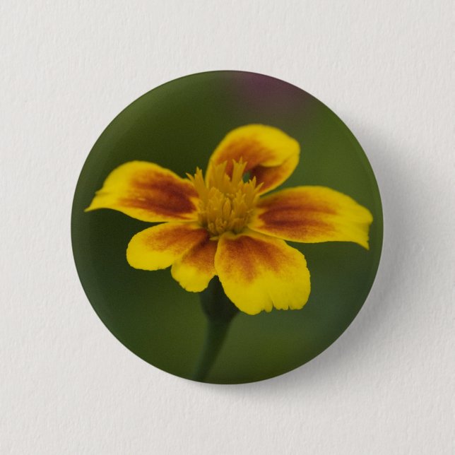 Badge Rond 5 Cm Bouton sans titre (Devant)