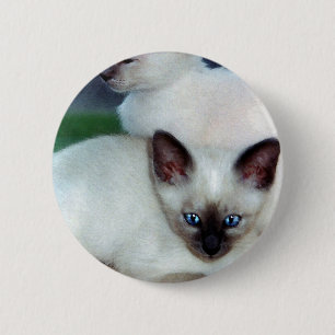 Badge Rond 5 Cm Bouton siamois de chatons