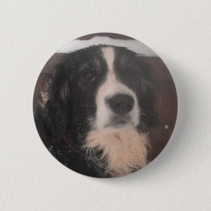 Badge Rond 5 Cm Bouton Sprollie Dans La Neige