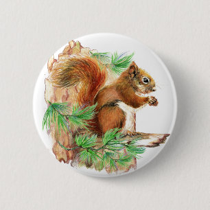 Badge Rond 5 Cm Bouton Squirrel Wildlife