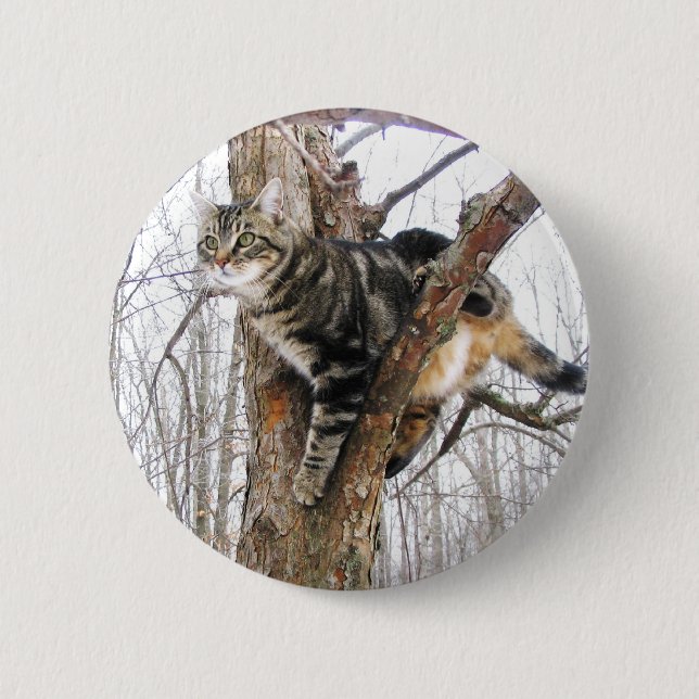 Badge Rond 5 Cm Bouton Tabby Cat (Devant)