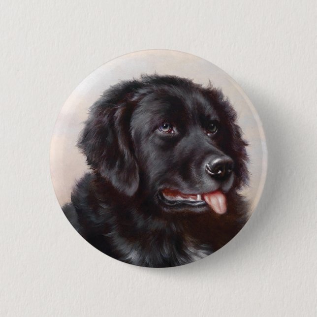 Badge Rond 5 Cm Bouton Terre-Neuve (Devant)
