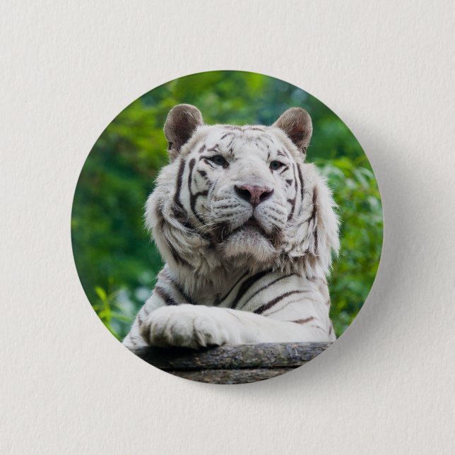 Badge Rond 5 Cm Bouton Tiger blanc (Devant)