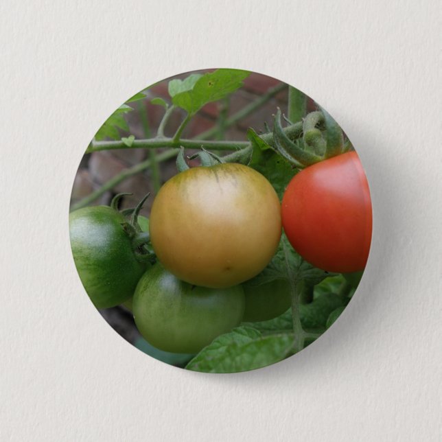 Badge Rond 5 Cm Bouton Tomates de feux de circulation (Devant)