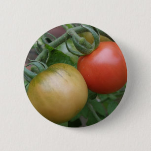 Badge Rond 5 Cm Bouton Tomates orange et rouge