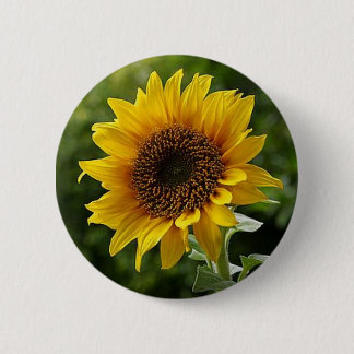 Badge Rond 5 Cm Bouton tournesol