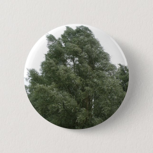 Badge Rond 5 Cm Bouton Treetops (Devant)