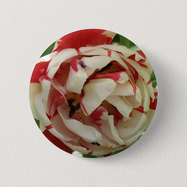 Badge Rond 5 Cm Bouton Tulipe rose et blanc (Devant)