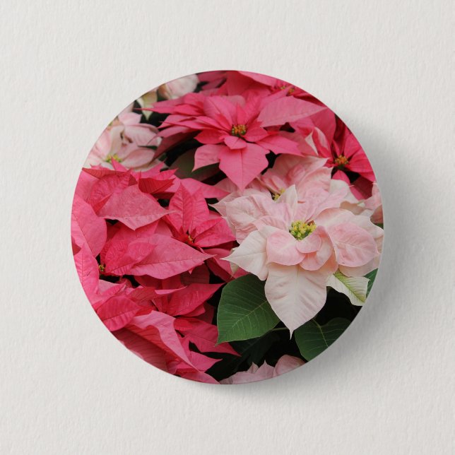 Badge Rond 5 Cm Bouton Vacances Joli Poinsettias (Devant)