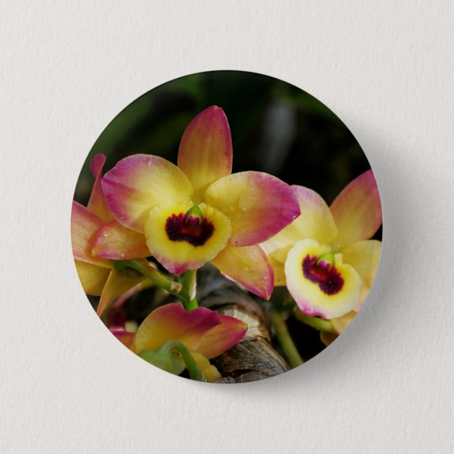 Badge Rond 5 Cm Bouton vibrant de la broche à orchidées (Devant)