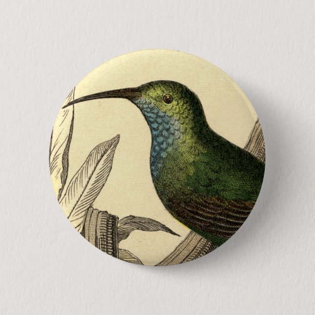 Badge Rond 5 Cm Bouton vintage de colibri (Devant)