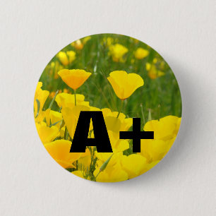 Badge Rond 5 Cm Boutons Coquelicots Jardin Prairie Fleurs A+