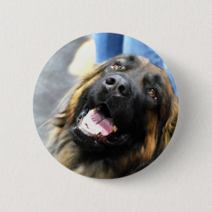 Badge Rond 5 Cm Boutons de Leonberger