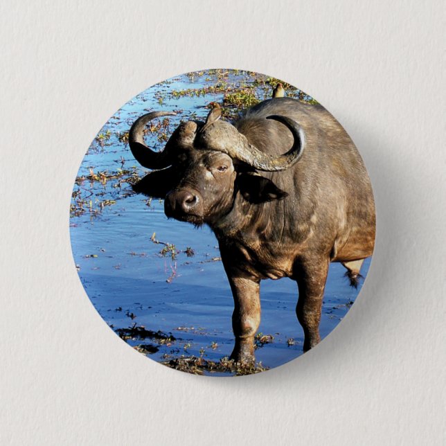 Badge Rond 5 Cm Boutons et insignes de safari de Buffalo de cap (Devant)