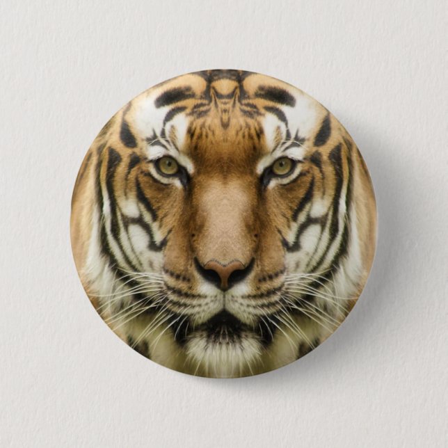 Badge Rond 5 Cm Boutons Gros plan tigre (Devant)