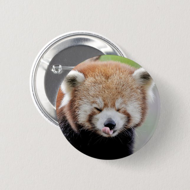 Badge Rond 5 Cm Boutons panda rouge. Panda roux. (Devant & derrière)